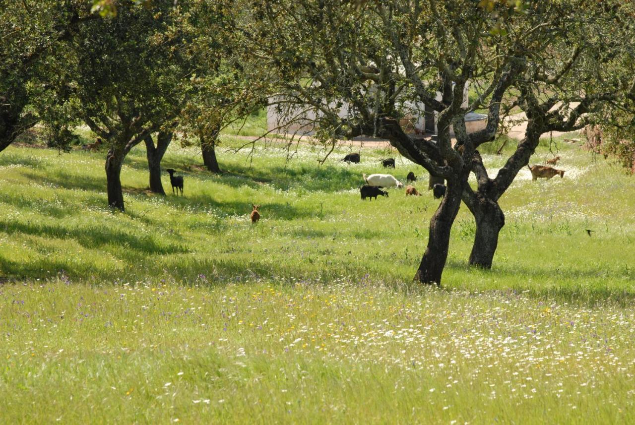 Casa Da Aldeia Βίλα Alcaria Ruiva Εξωτερικό φωτογραφία