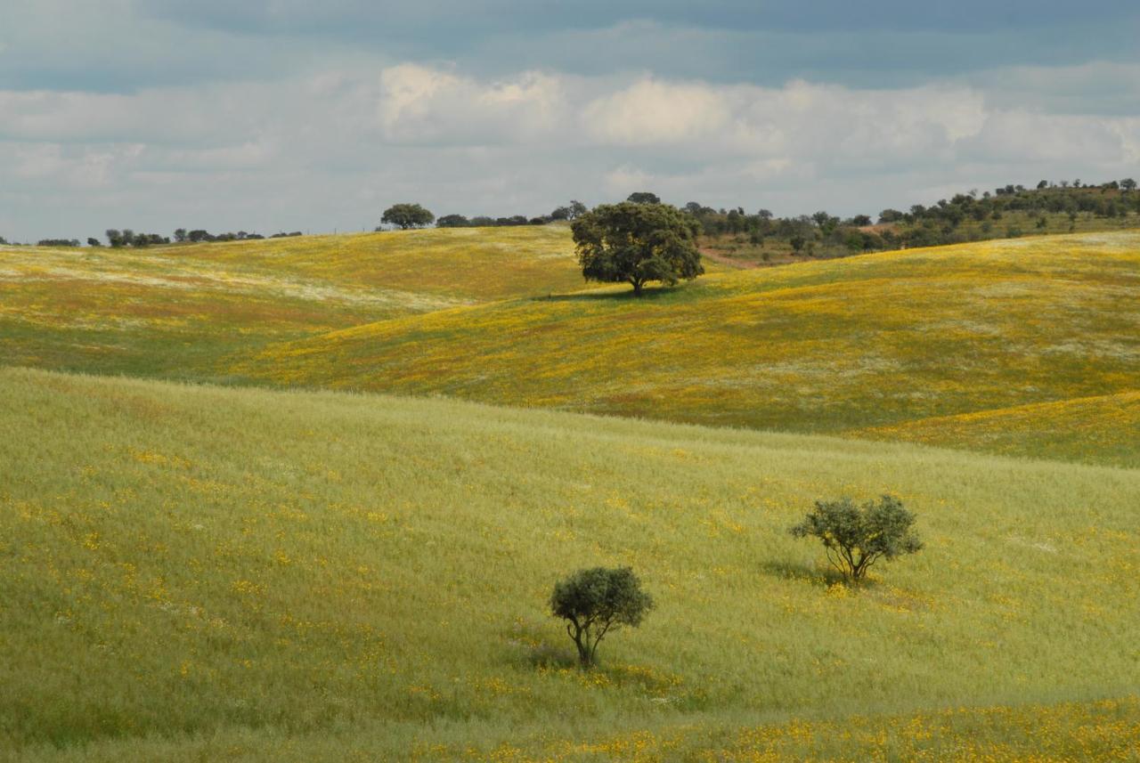 Casa Da Aldeia Βίλα Alcaria Ruiva Εξωτερικό φωτογραφία