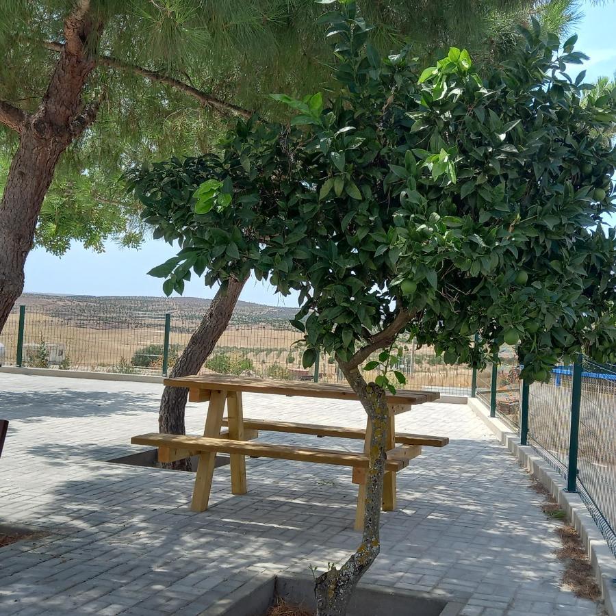 Casa Da Aldeia Βίλα Alcaria Ruiva Εξωτερικό φωτογραφία